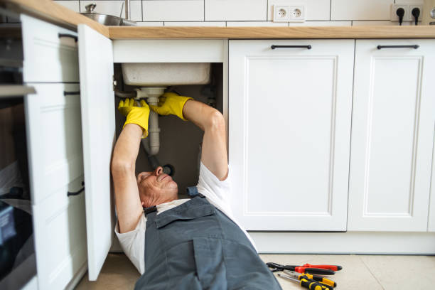 Best Residential Plumbing Services  in Prudenville, MI
